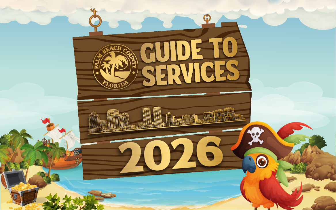 2026 Guide to Services